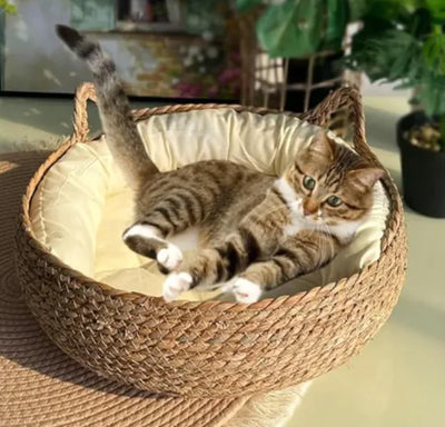 Artisan Woven Pet Nest Handmade